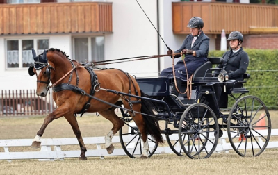 Nationales Fahrturnier, Feldtest, Patrouillenritt