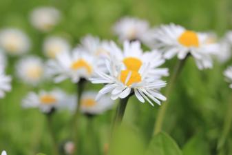 Öffnungszeiten über Auffahrt 2026