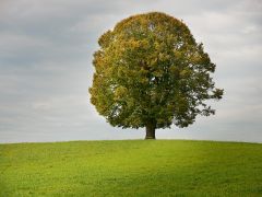 Gemeinde-Portal für Familien und Seniorinnen und Senioren