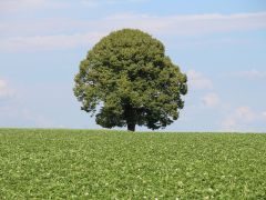 Sommeröffnungszeiten Gemeinde Fraubrunnen